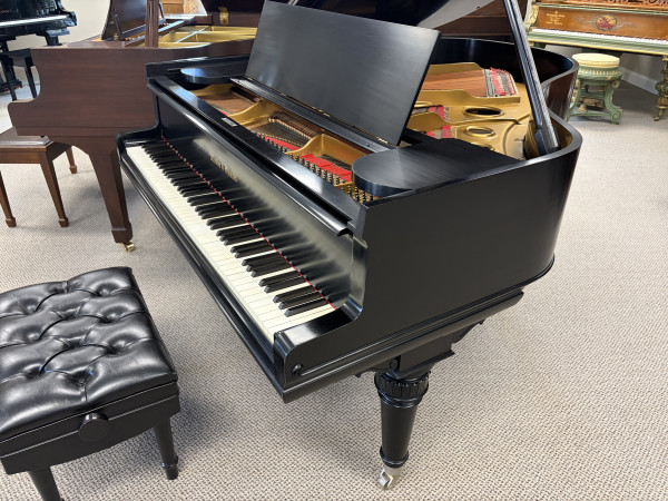 1907 Mason & Hamlin fancy Model A grand piano - Grand Pianos